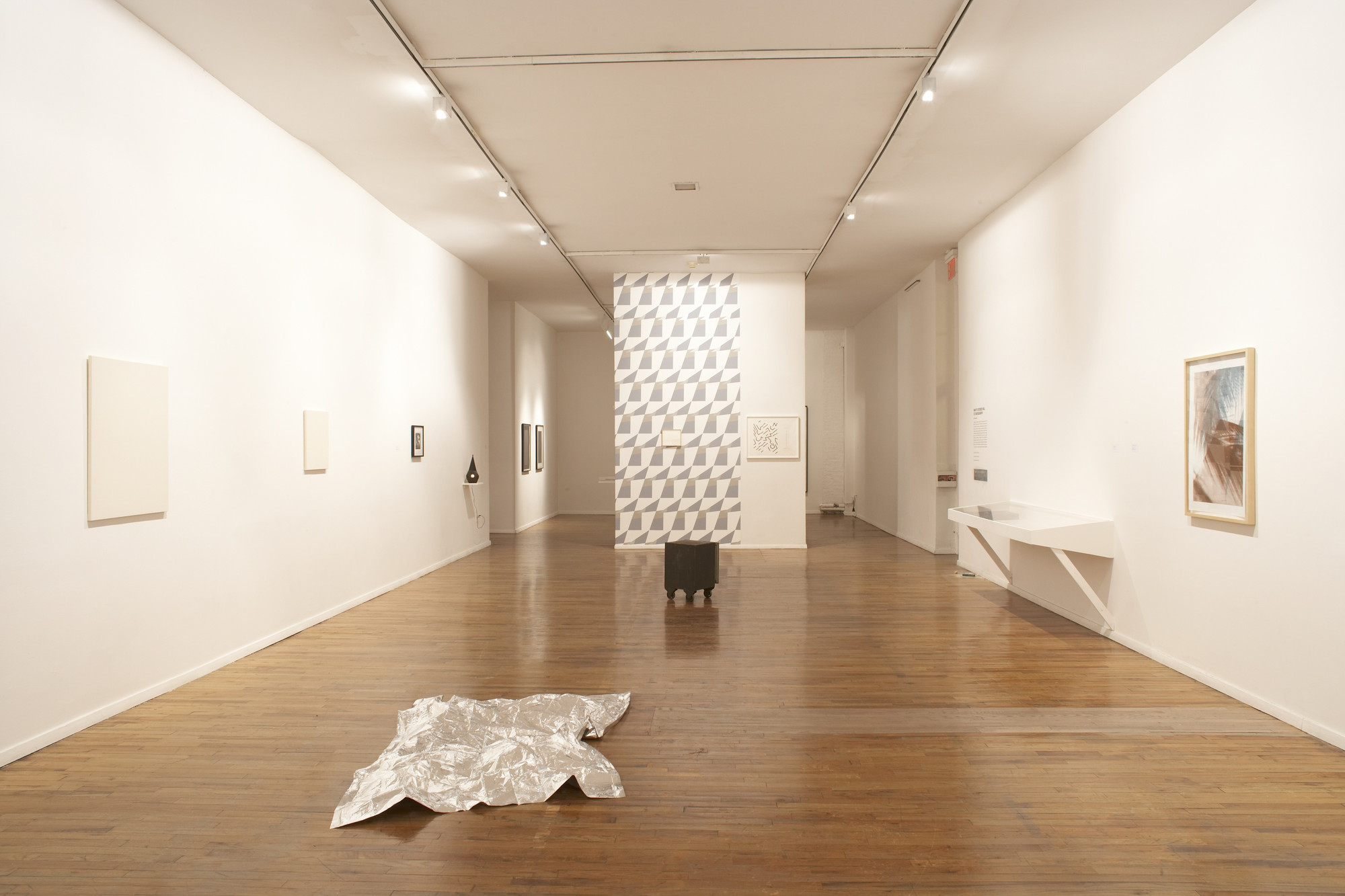 GNY Rotating Gallery 1 MoMA